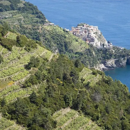 Awesome In With Wifi *