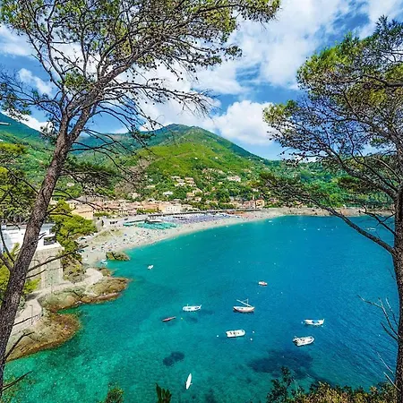 Awesome In With Wifi * La Spezia