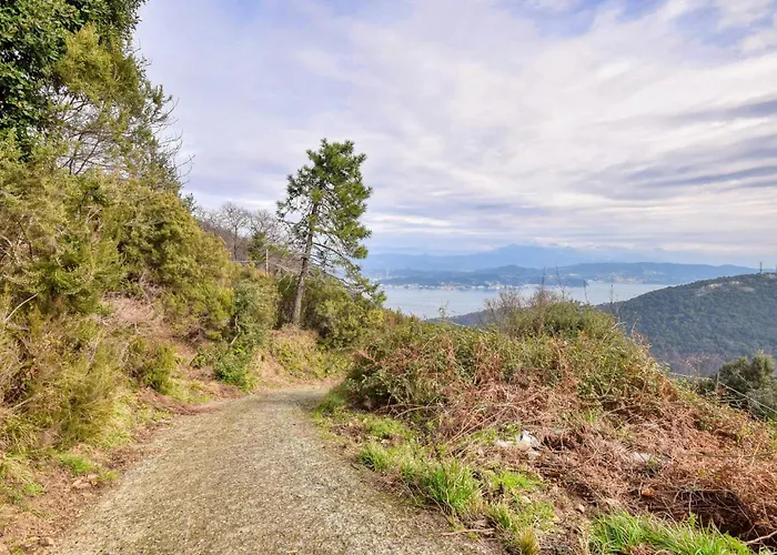 Awesome In With Wifi